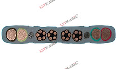 特種行車電纜 特種行車電纜